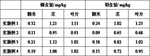 Biological organic fertilizer capable of alleviating soil cadmium pollution