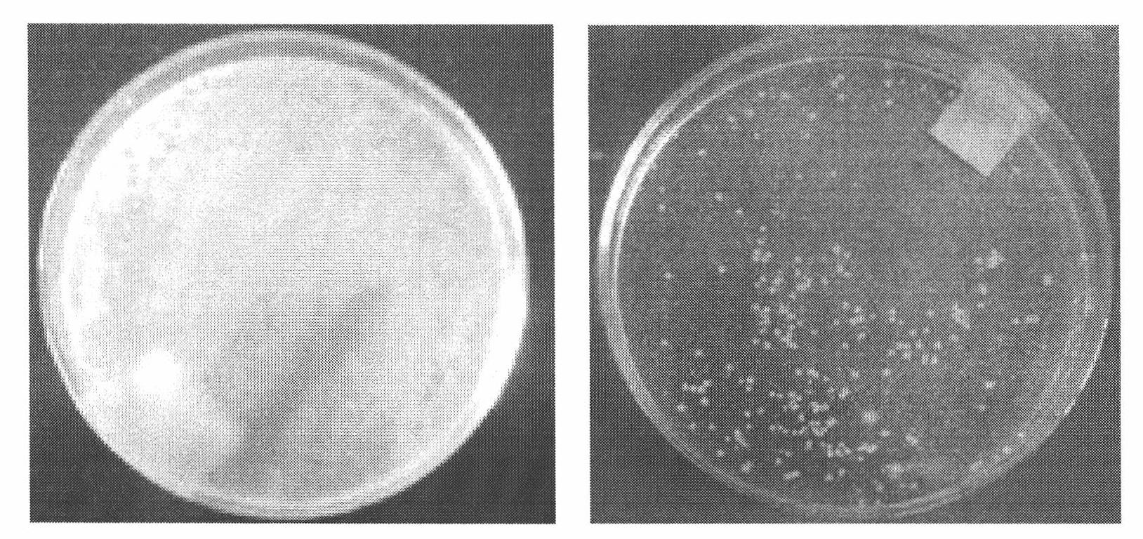 Method for preparing ultrafine silver tungstate antibacterial powder by ultrasonic-homogeneous precipitation