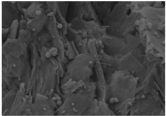 A preparation method based on rectorite-loaded spherical nano-calcium salt oxidant