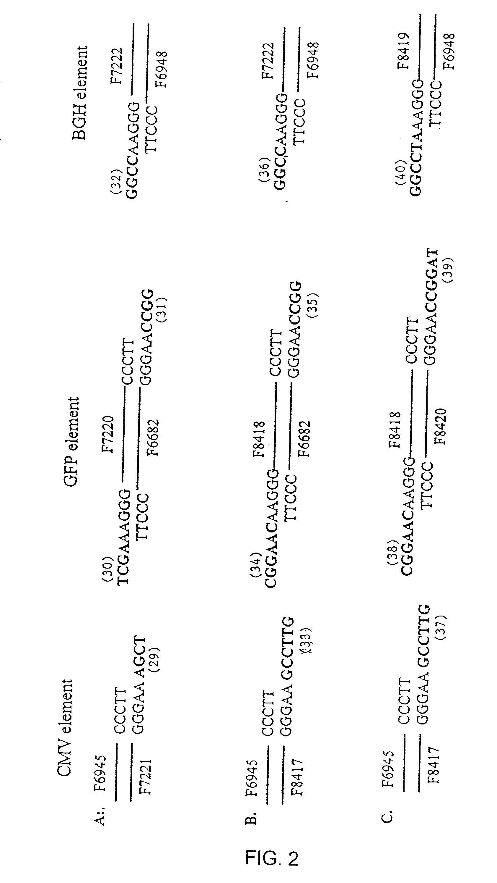 Compositions and methods for rapidly generating recombinant nucleic acid molecules