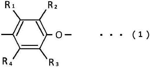 Polyphenyl ether resin packaging method