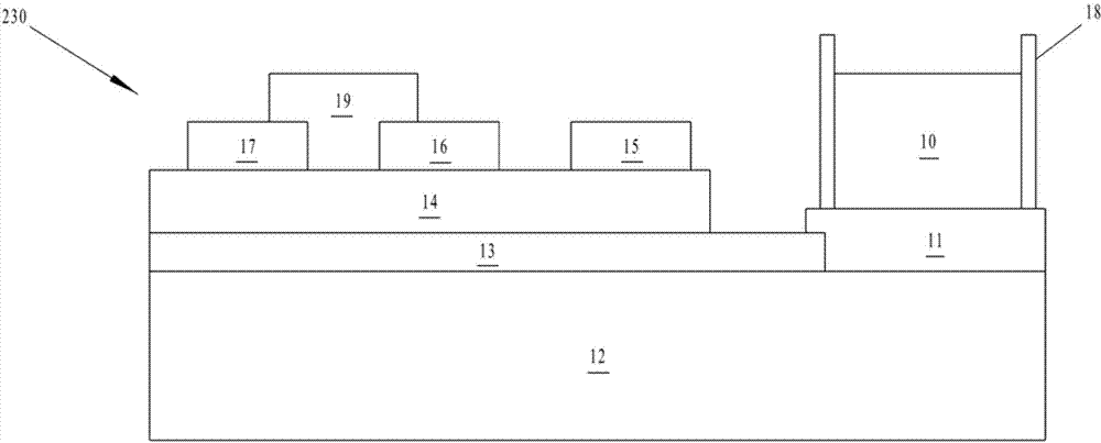 Microbiological detection device and microbiological detection method