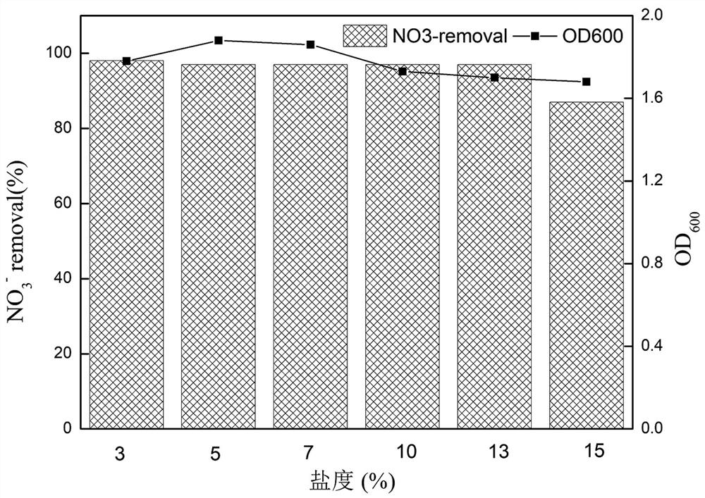 Preparation method and application of complex microbial agent for removing nitrogen-containing pollutants in high-salinity wastewater