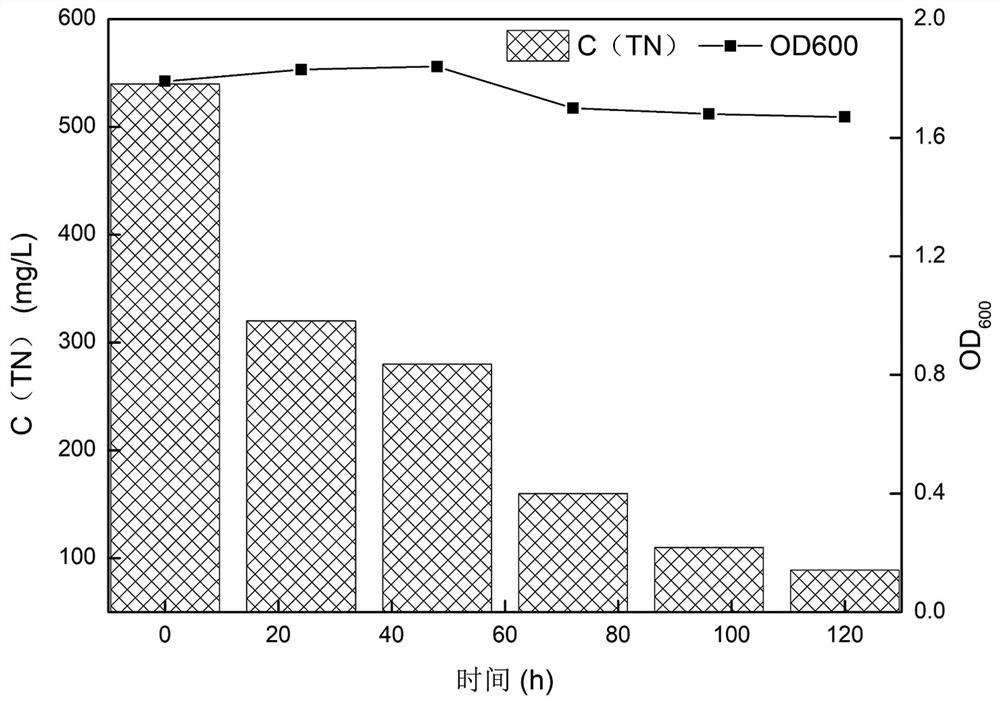 Preparation method and application of complex microbial agent for removing nitrogen-containing pollutants in high-salinity wastewater