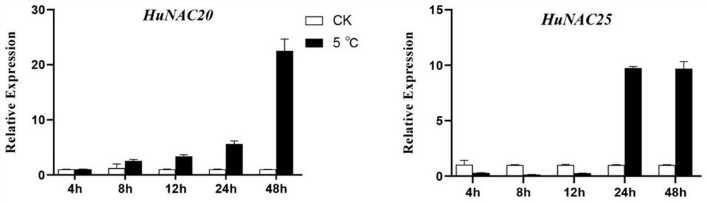 Method for enhancing cold resistance of plants or cultivating high-cold-resistance plants