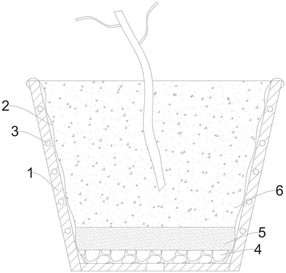 Cuttage method for taxodium falcatum