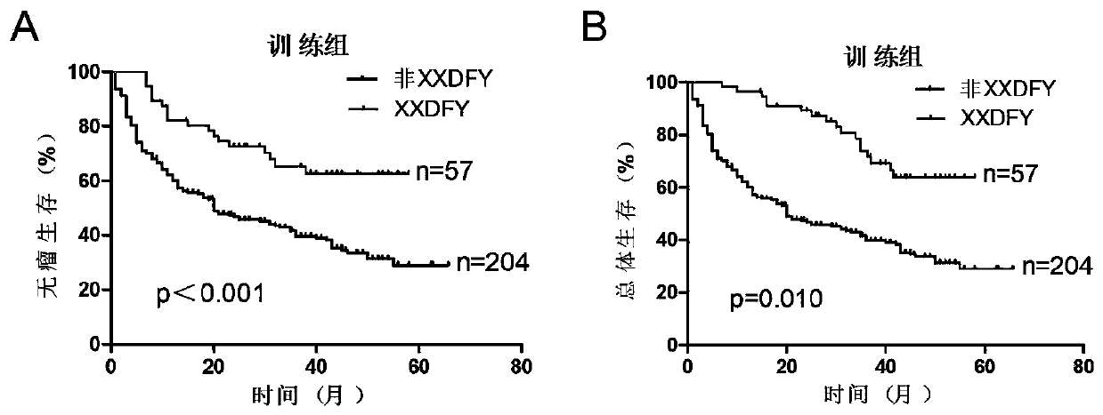 Hepatitis B virus X gene and application thereof