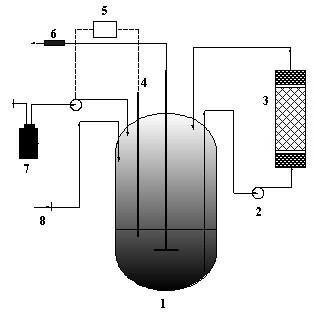 Process for producing butyric acid by using bagasse hydrolysate through clostridium tyrobutyricum fermentation