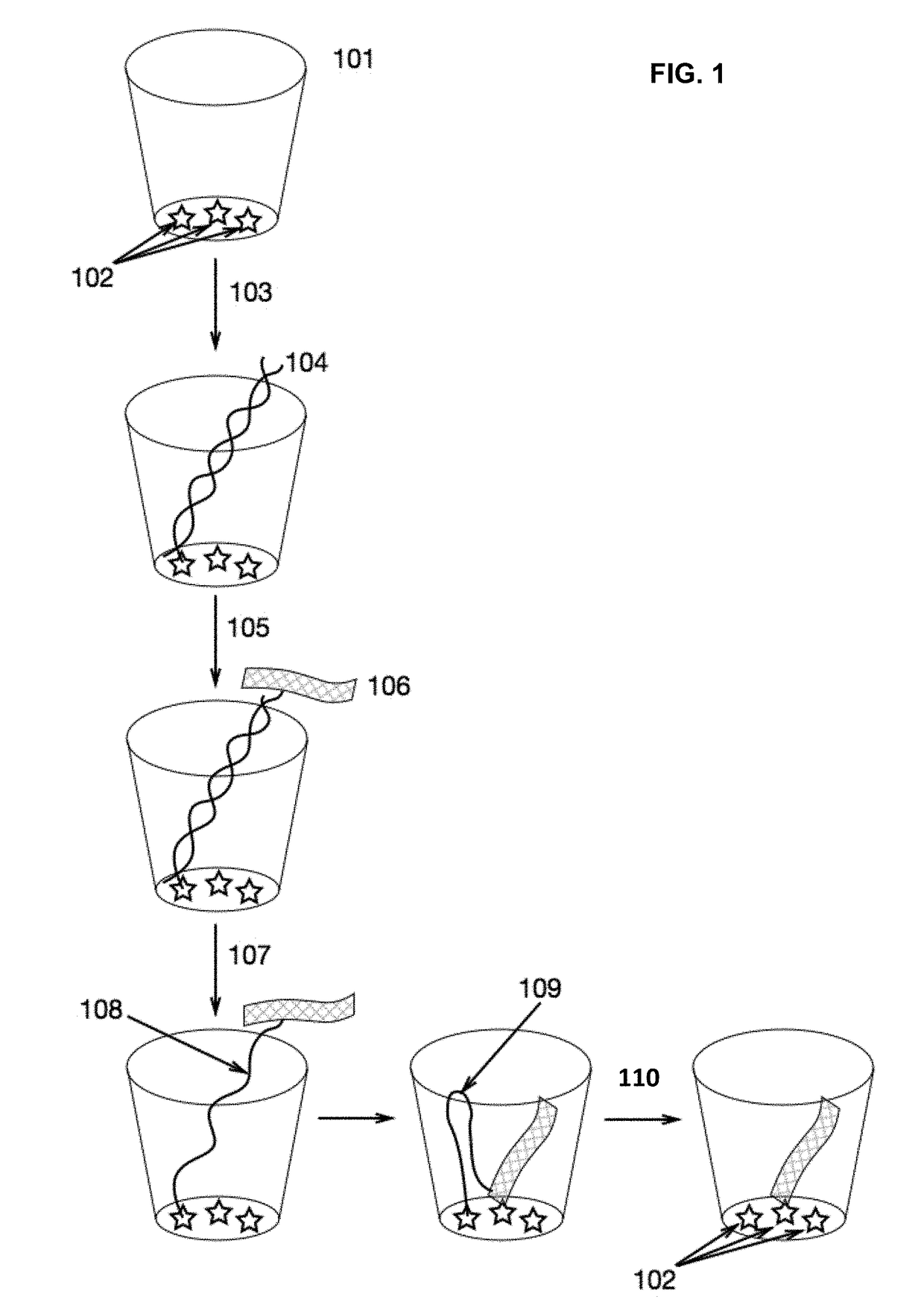 Methods and Compositions for Delivery of Molecules and Complexes to Reaction Sites