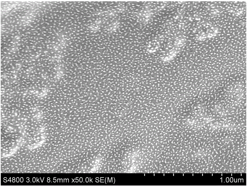 Gold-bearing viscose and preparation method thereof