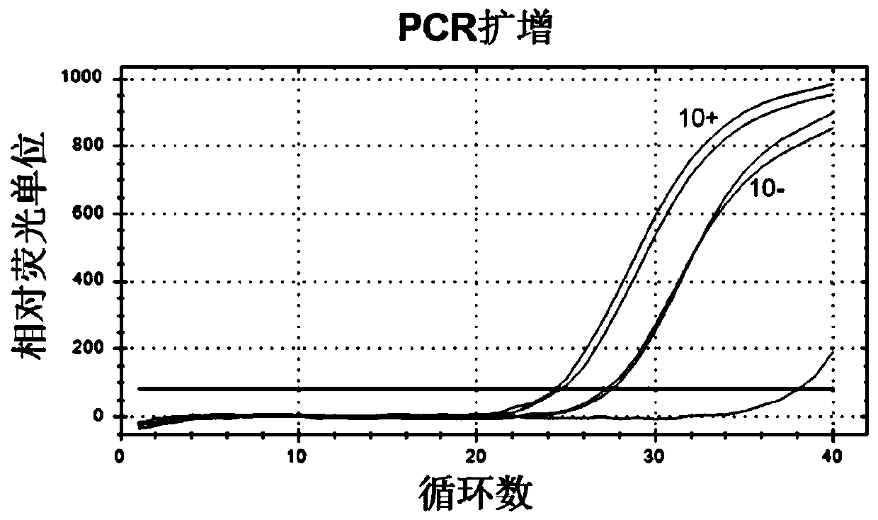 Nucleic acid aptamer for identifying intestinal cancer serum marker and screening method and application of nucleic acid aptamer