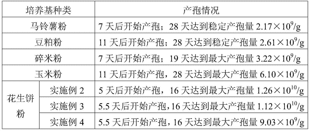 Large-scale production and fermentation culture medium of aschersonia placenta and fermentation cultivation method