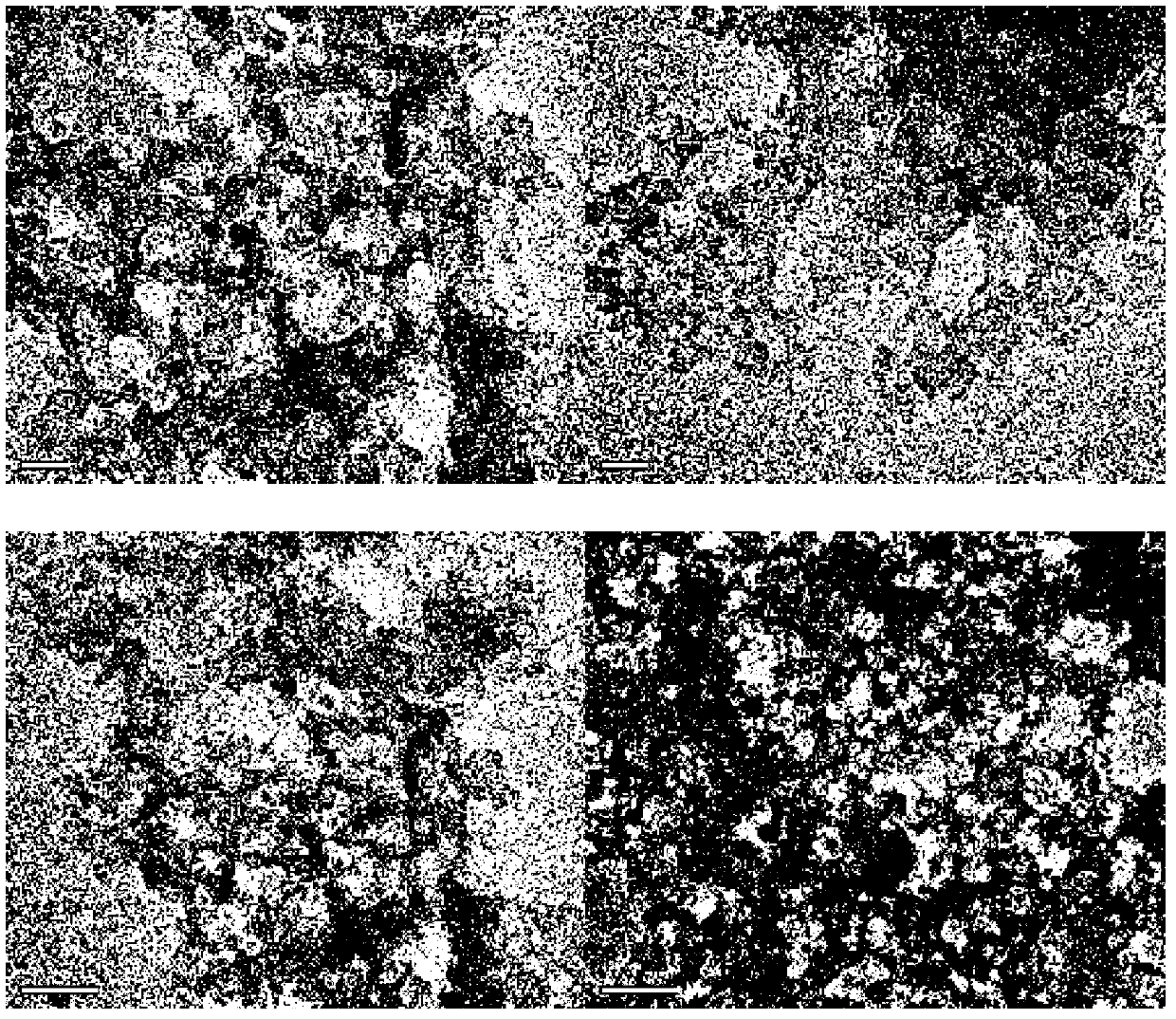 Method for rapidly preparing efficient adsorbent with low cost by adopting organosilicone high-boiling residue