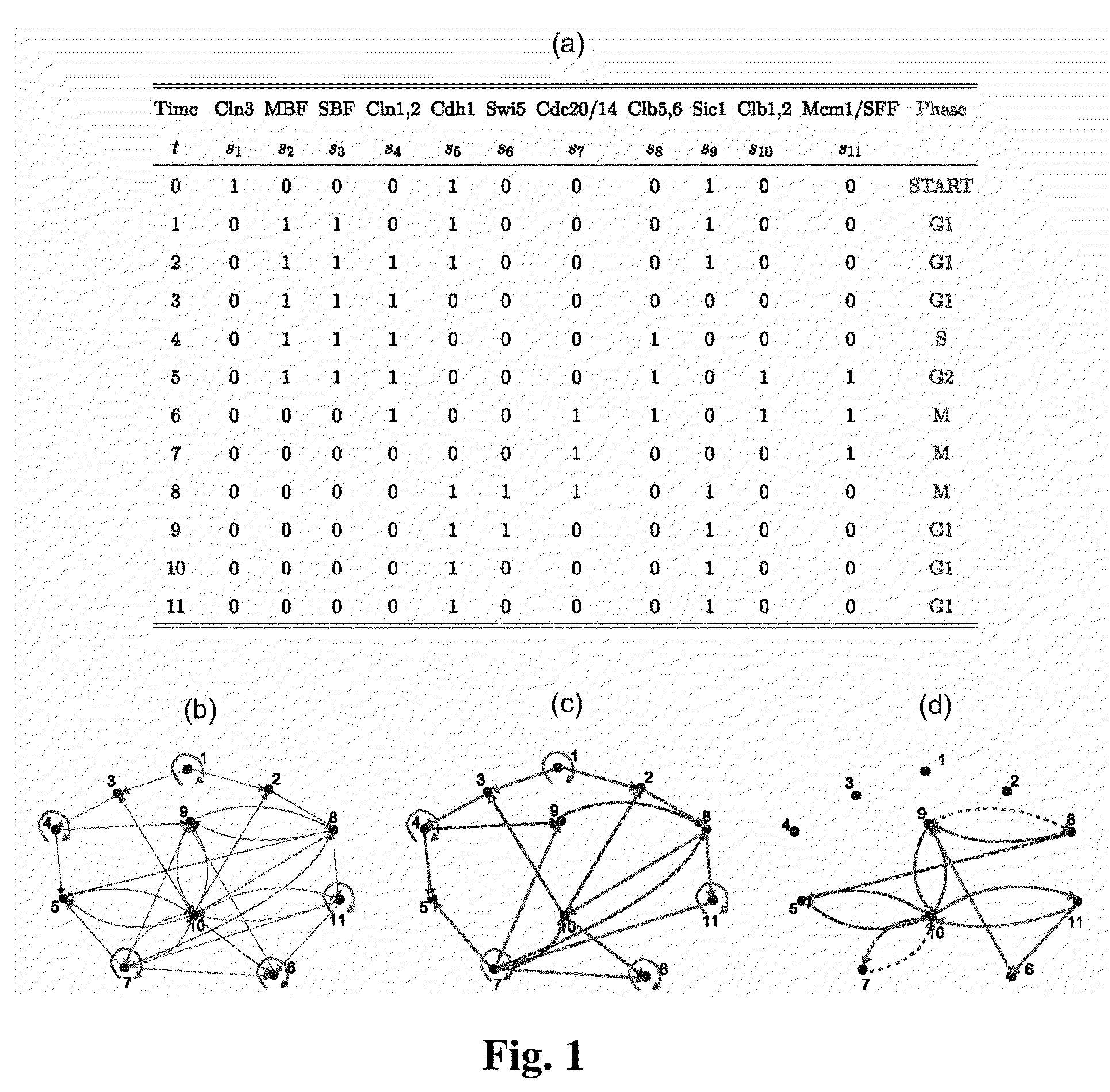 System and method for obtaining information about biological networks using a logic based approach