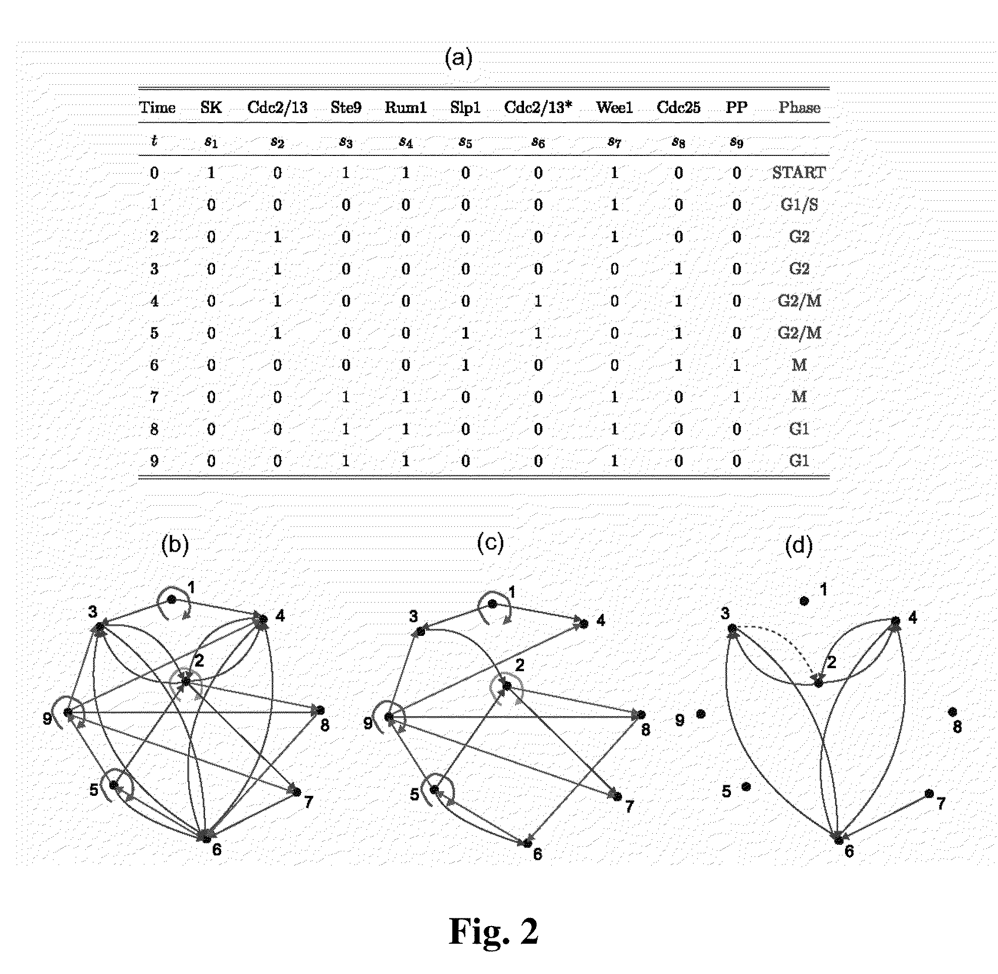 System and method for obtaining information about biological networks using a logic based approach