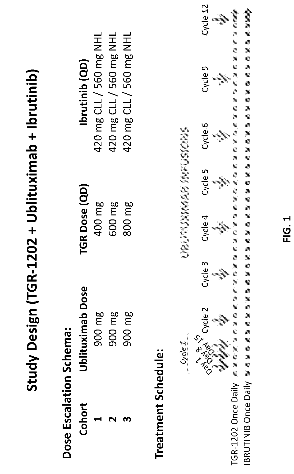 Combination of Anti-cd20 antibody, p13 kinase-delta selective inhibitor, and btk inhibitor to treat b-cell proliferative disorders