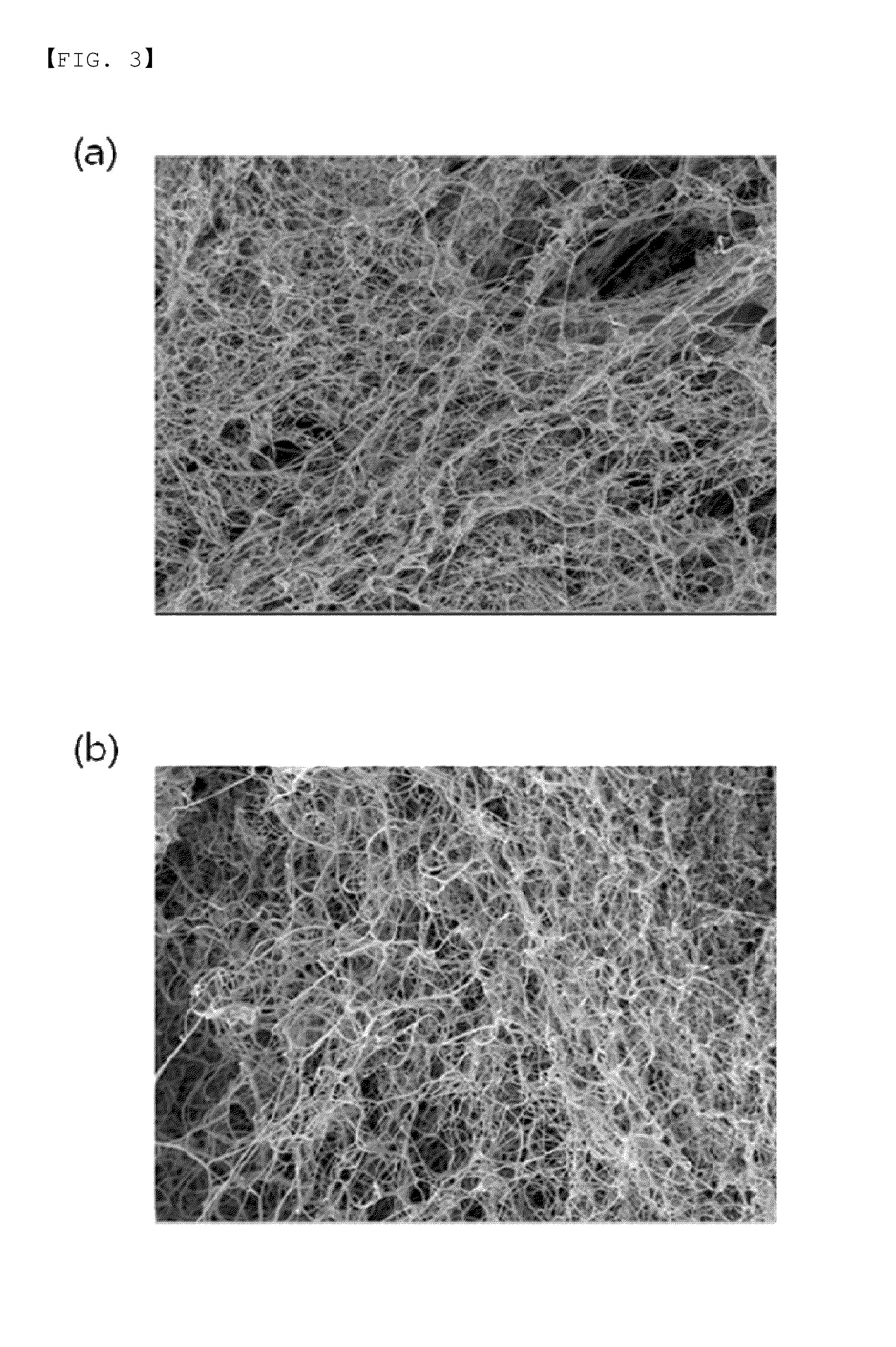 Method for preparing highly concentrated fibrinogen solution and method for preparing fibrin sealant by using thereof