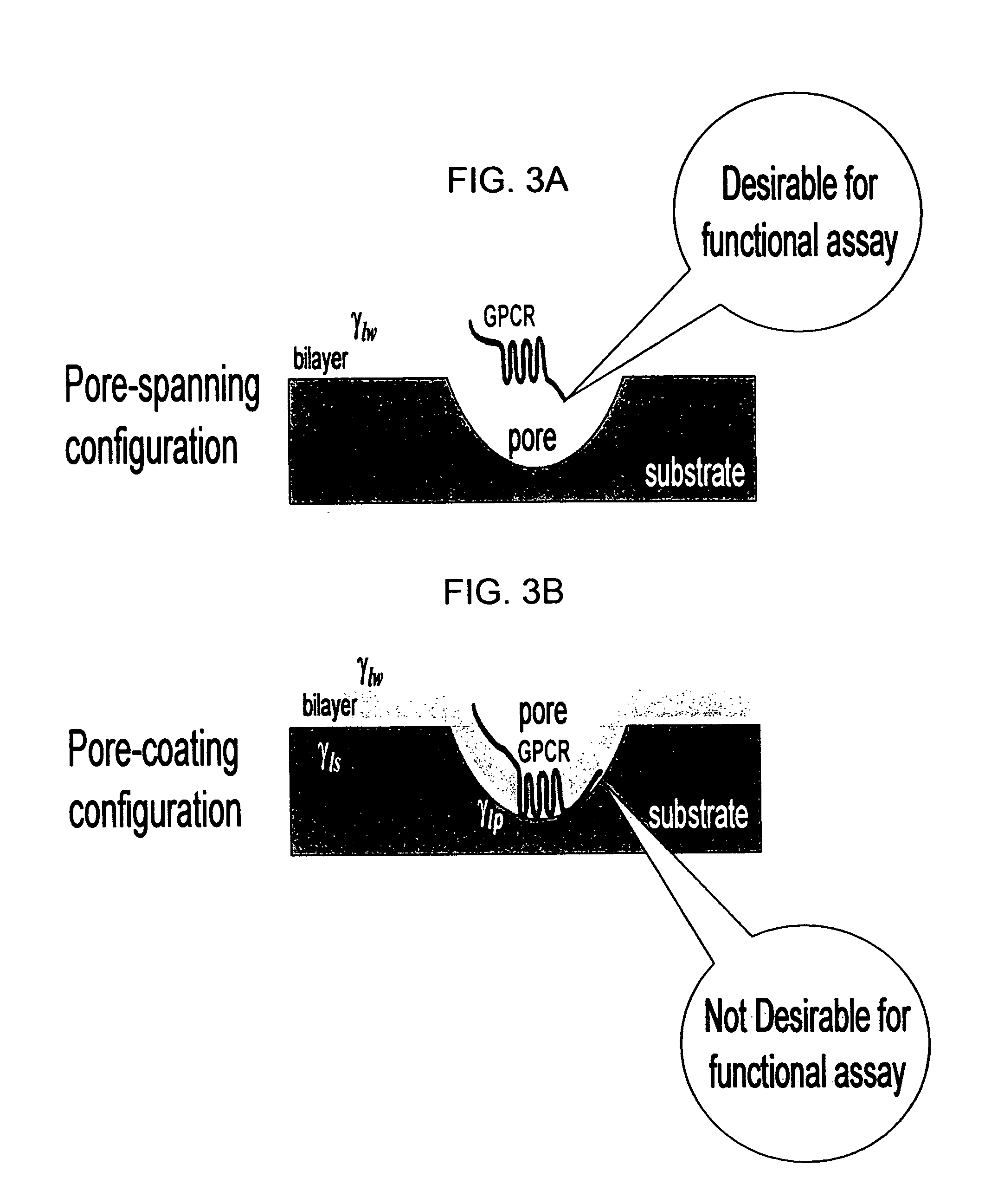 Membrane arrays and methods of manufacture