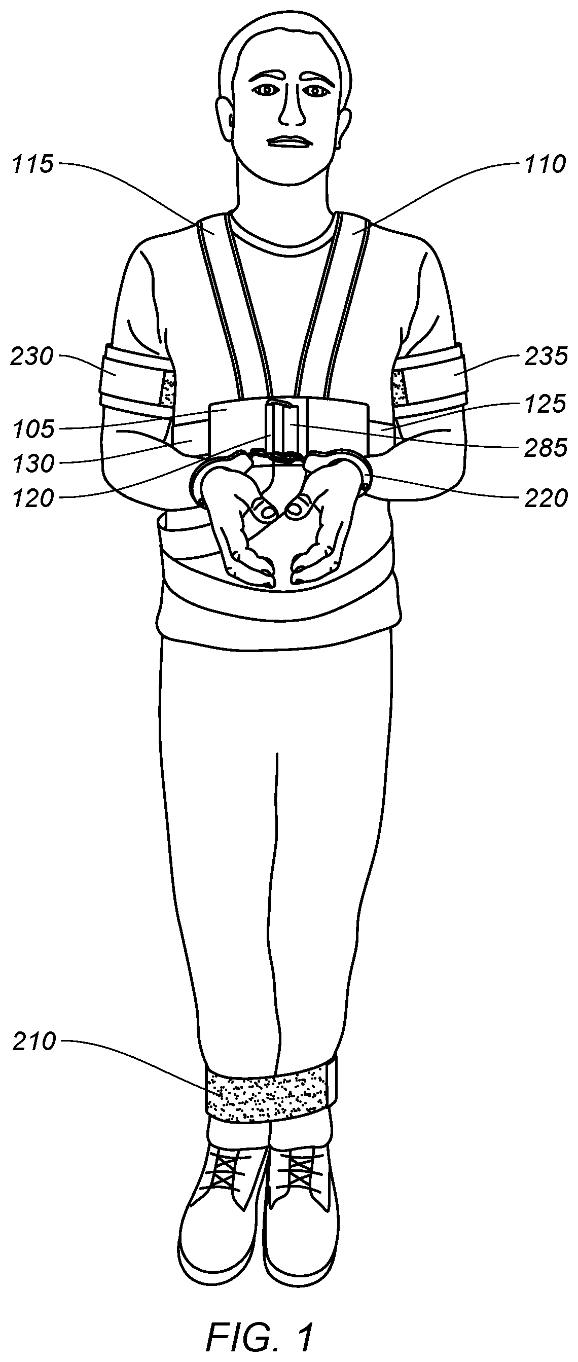 Safe mobility transport harness