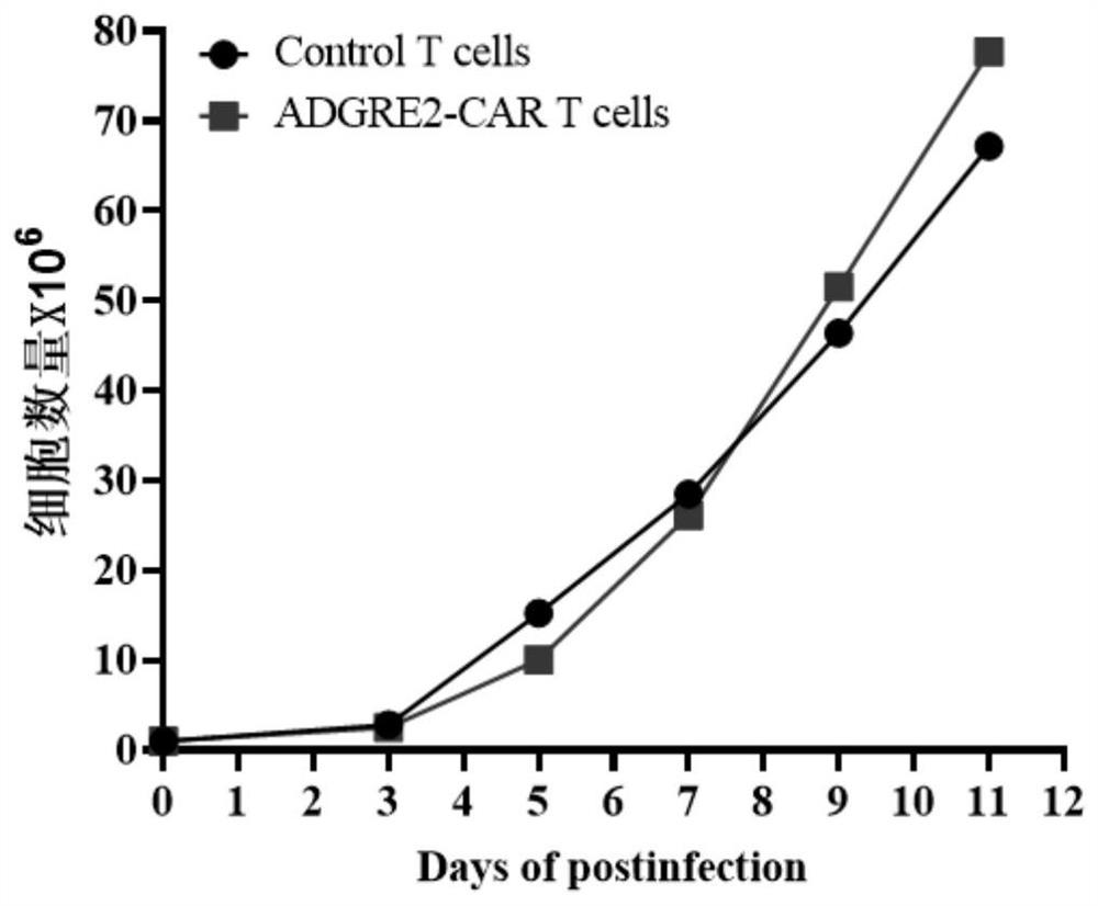 Chimeric antigen receptor targeting ADGRE2 and application thereof