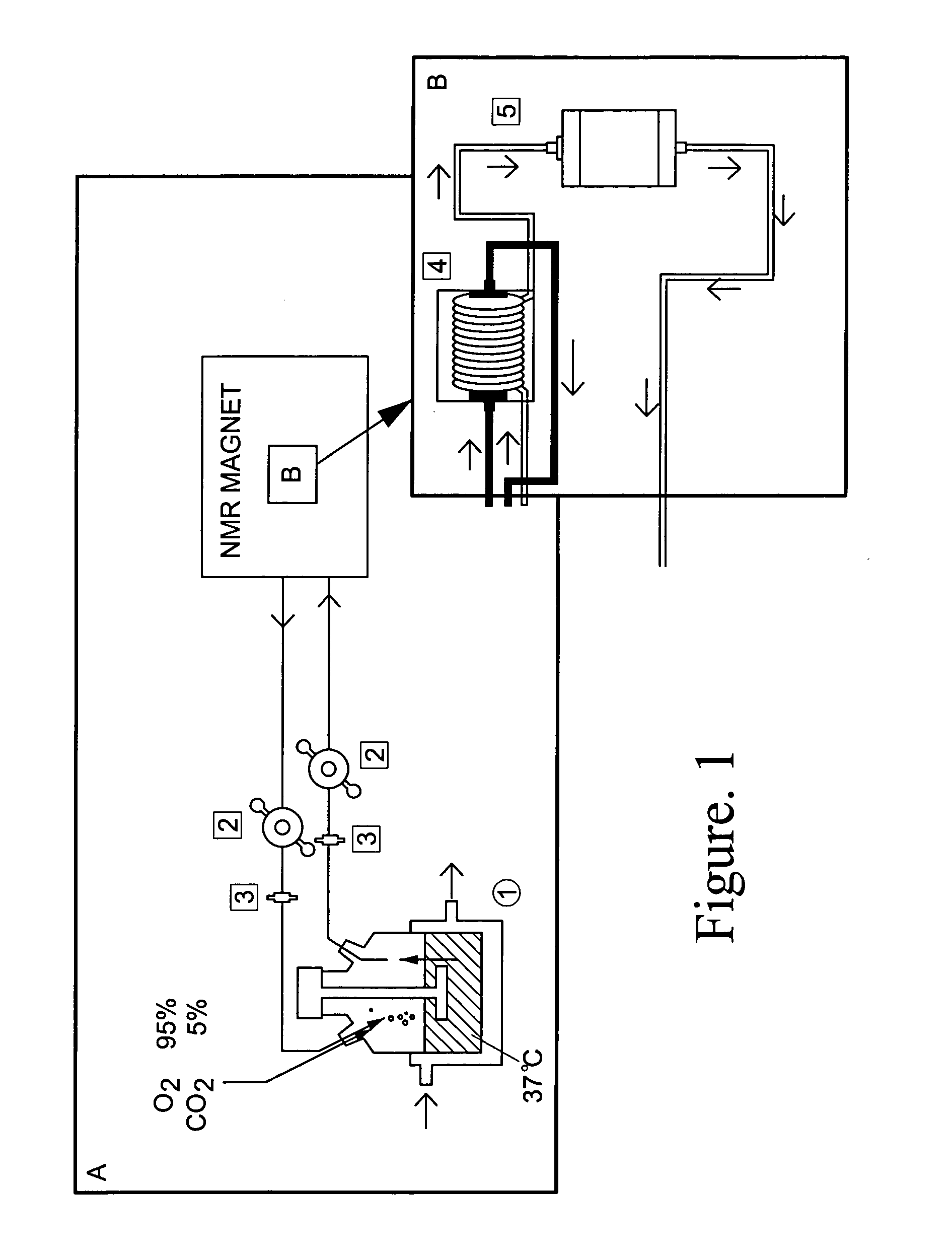 Solution containing carnitine for the storage and perfusion of organs awaiting transplantation