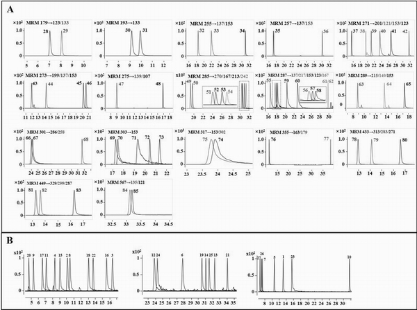 Liquid chromatography-mass spectrometry analysis method of phenylpropane metabolic pathway metabolite and application thereof