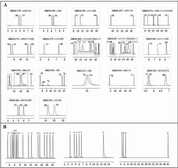 Liquid chromatography-mass spectrometry analysis method of phenylpropane metabolic pathway metabolite and application thereof