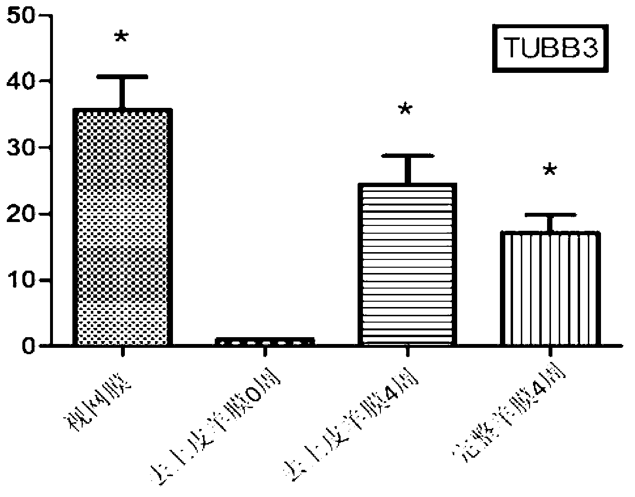 Tissue engineering material construction method based on amniotic mesenchymal stem cells