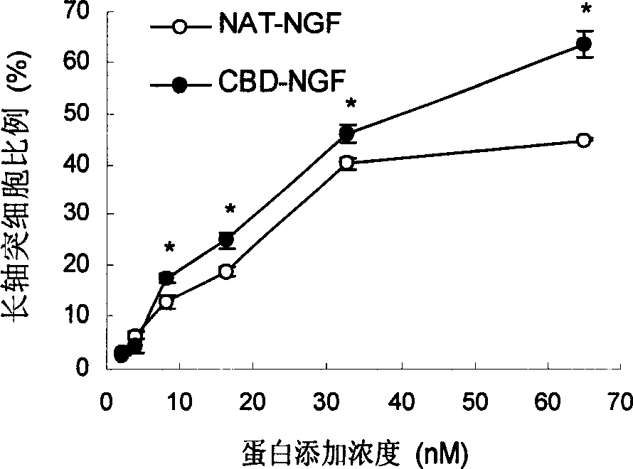 Nerve growth factor combined with collagen specificity and its coading gene and application