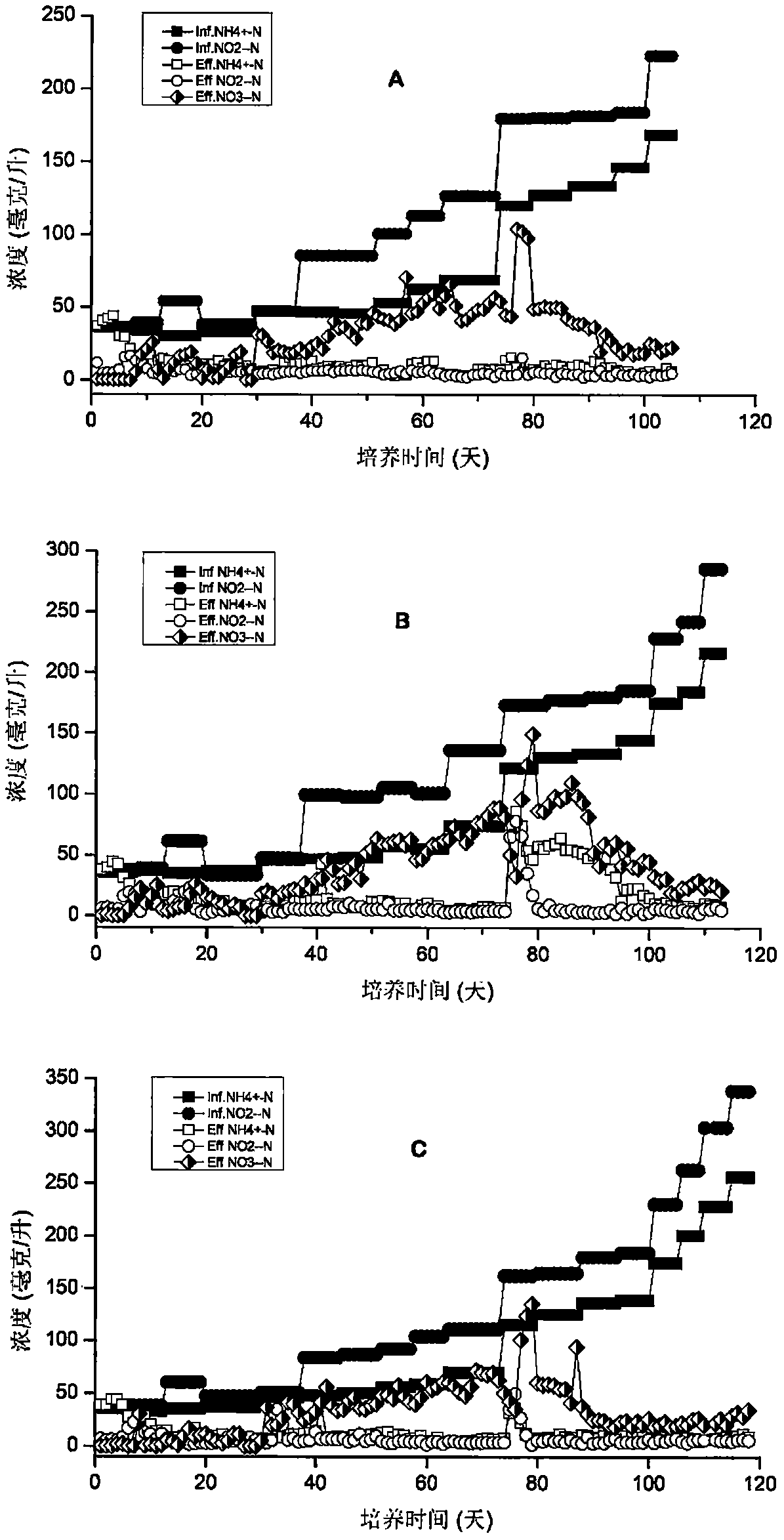 A device and method for enriching high-efficiency anammox sludge
