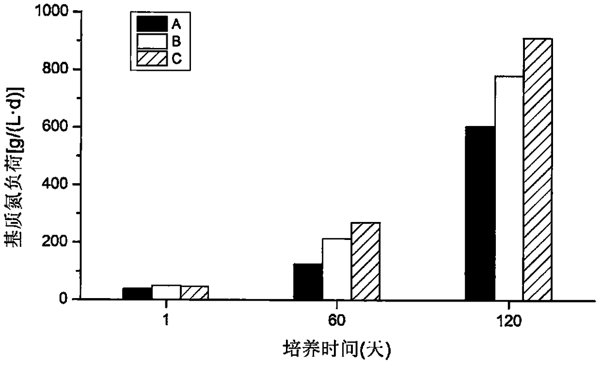 A device and method for enriching high-efficiency anammox sludge