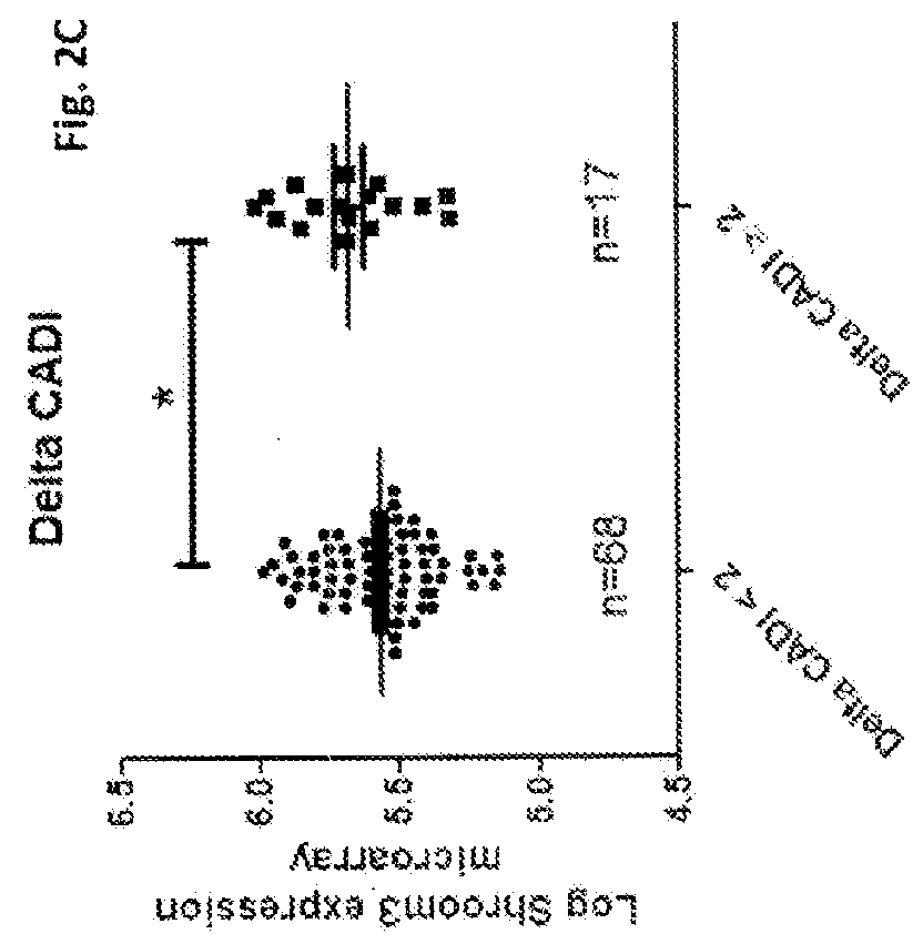 Use of shroom3 in chronic kidney disease and chronic allograft nephropathy