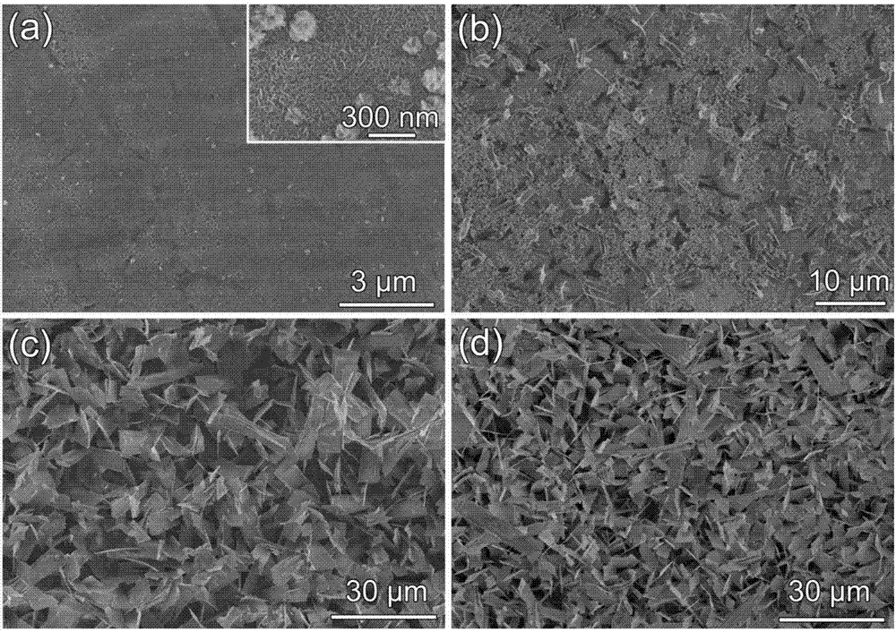 Synthetic method of cobalt disulfide nanoribbon assembled structure on titanium substrate