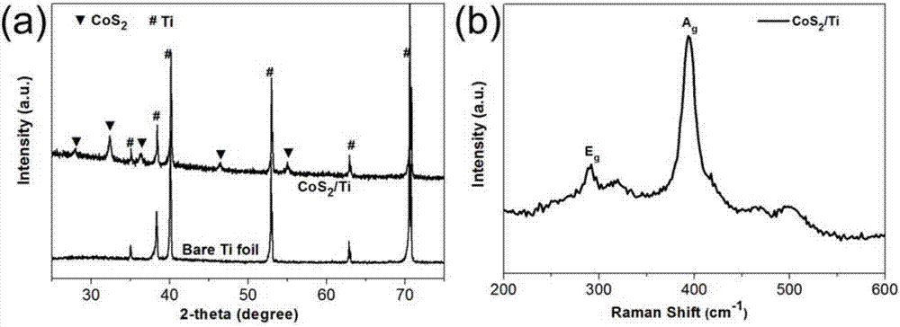 Synthetic method of cobalt disulfide nanoribbon assembled structure on titanium substrate