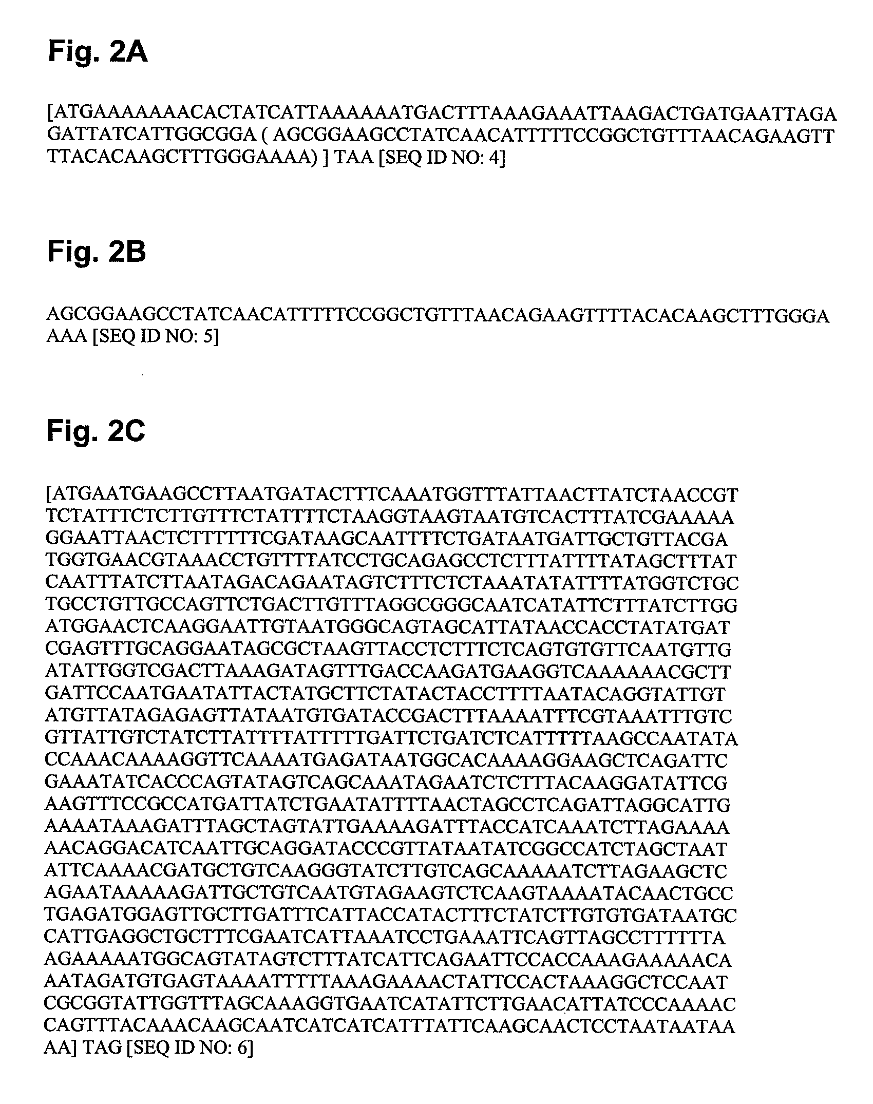 Signal peptides, nucleic acid molecules and methods for treatment of caries