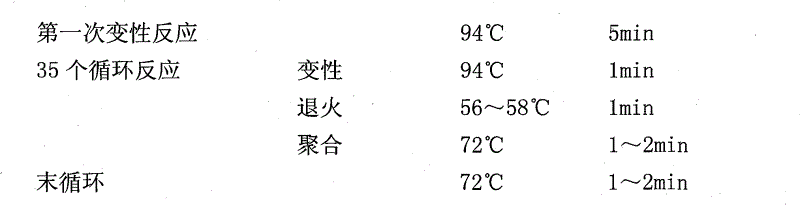 Method for fast screening lactobacillus for degrading cholesterol