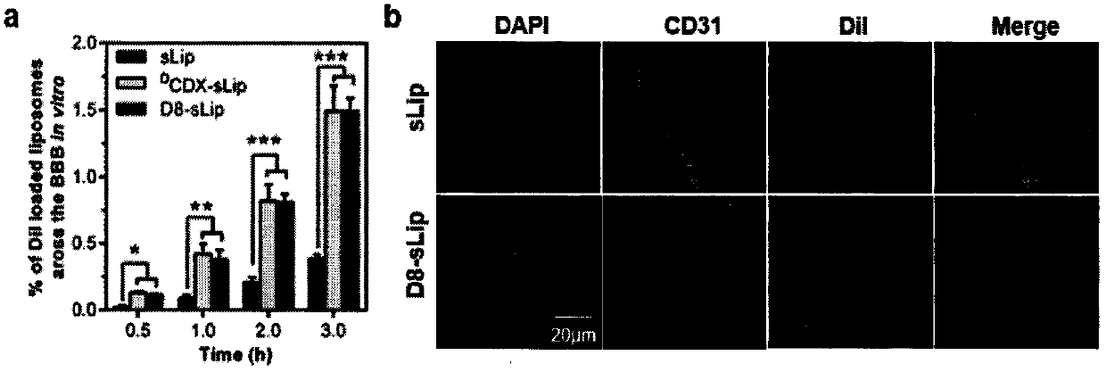 Specially-acetylcholine-receptor-targeted D8 polypeptide with biomembrane-crossing effect and brain-targeted drug delivery system thereof