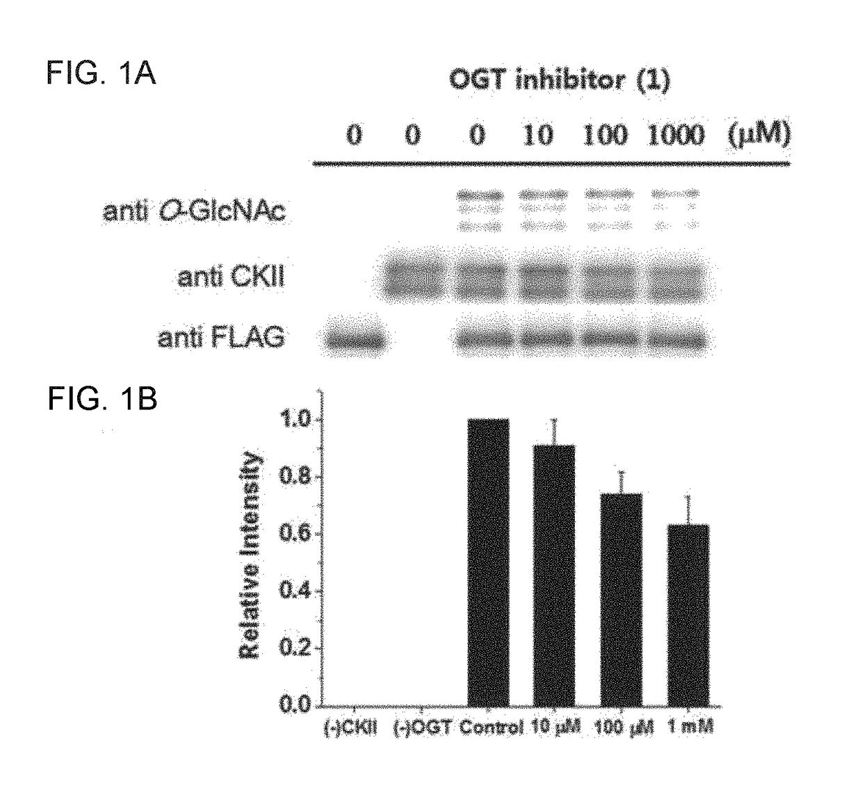 C1-phostphonate analogue of UDP-GlcNAc for inhibition of O-GlcNAc transferase