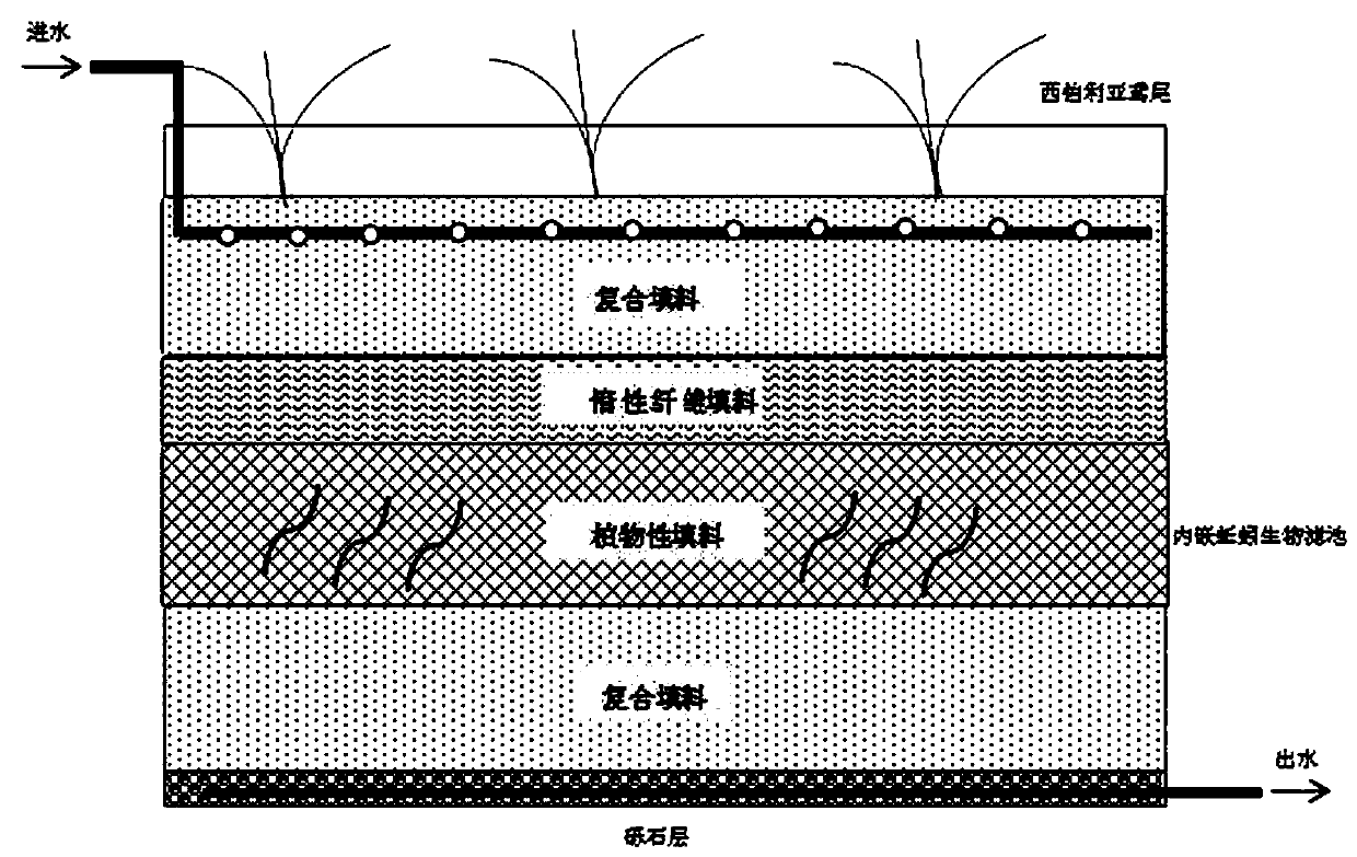Biological treatment system for rainwater purification of sponge city