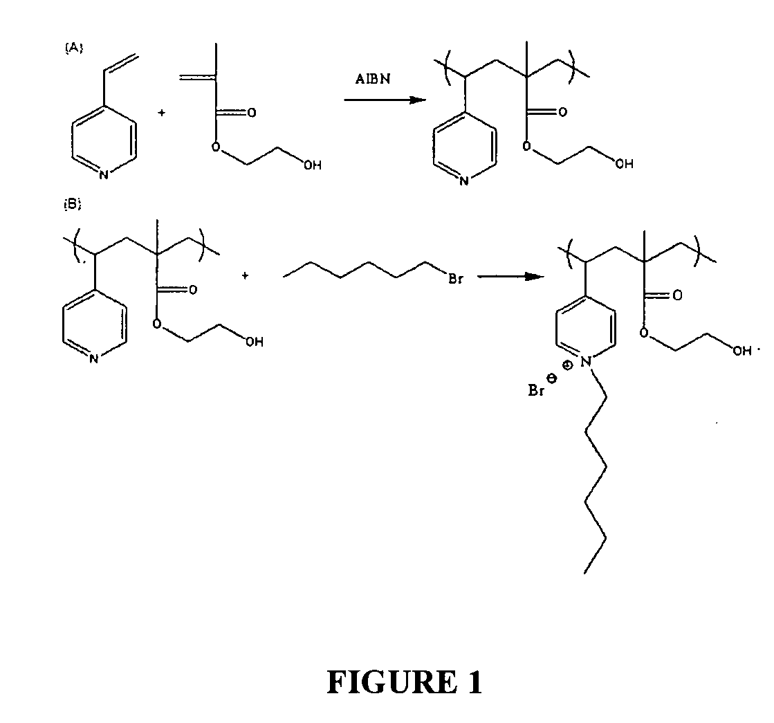 Hydrophilized bactericidal polymers