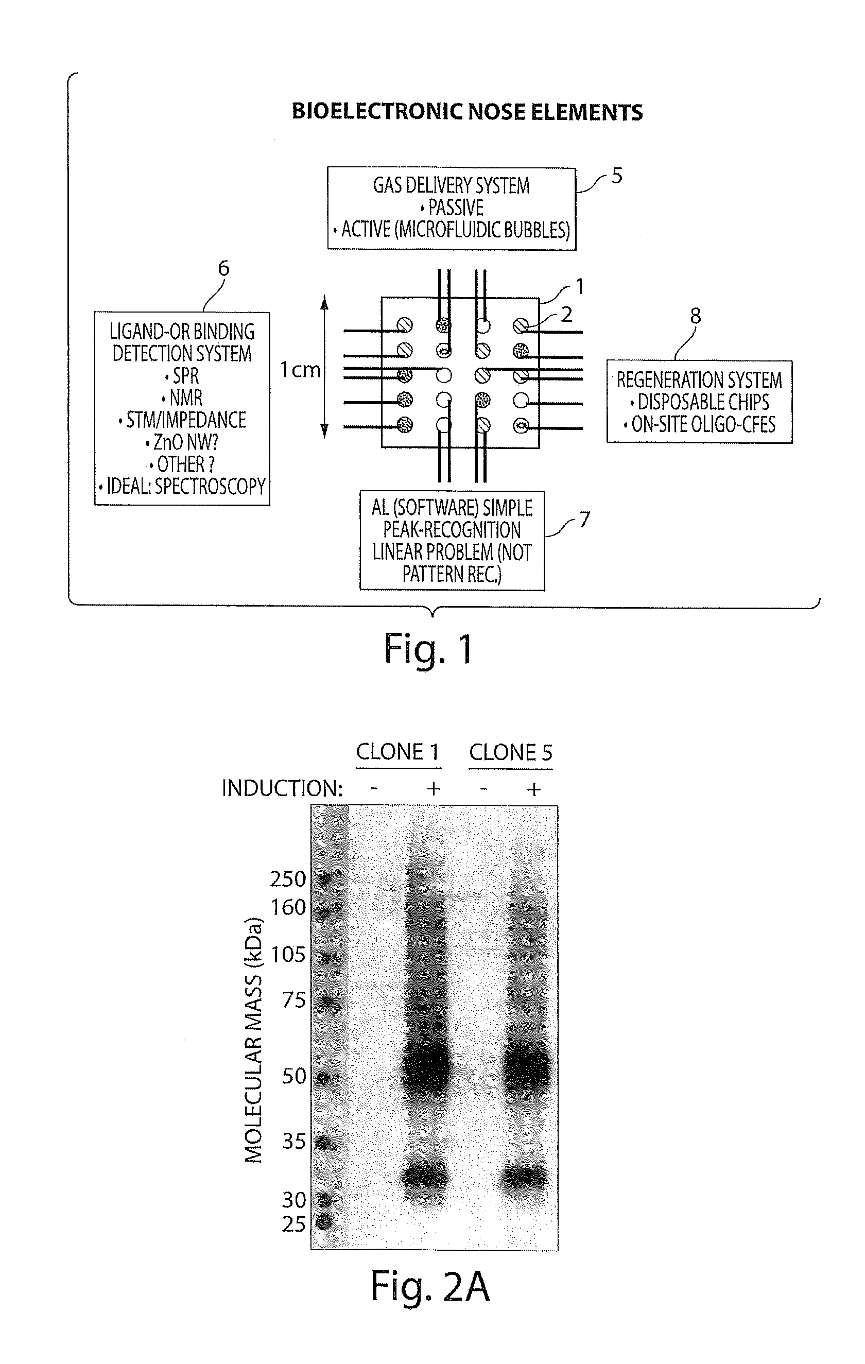 Multiplexed Olfactory Receptor-Based Microsurface Plasmon Polariton Detector