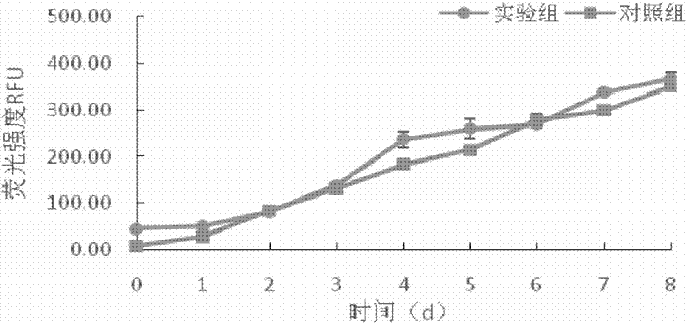 Culture method of phaeocystis globosa