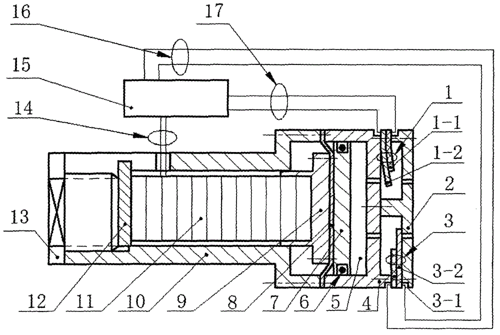 Self-measurement piezoelectric stack pump