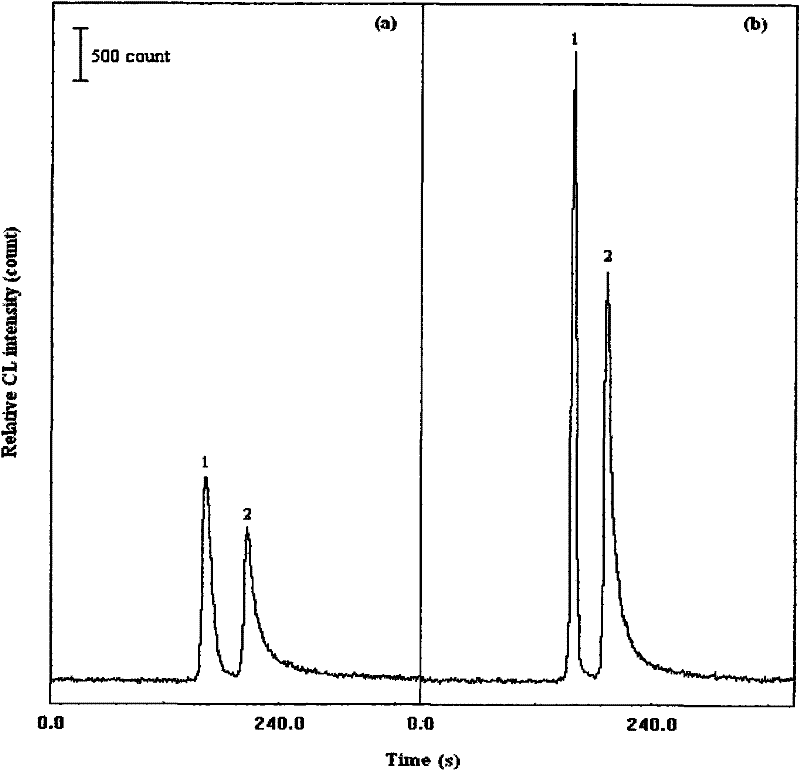 Off-column vertical chemiluminescence detection device for capillary electrochromatography