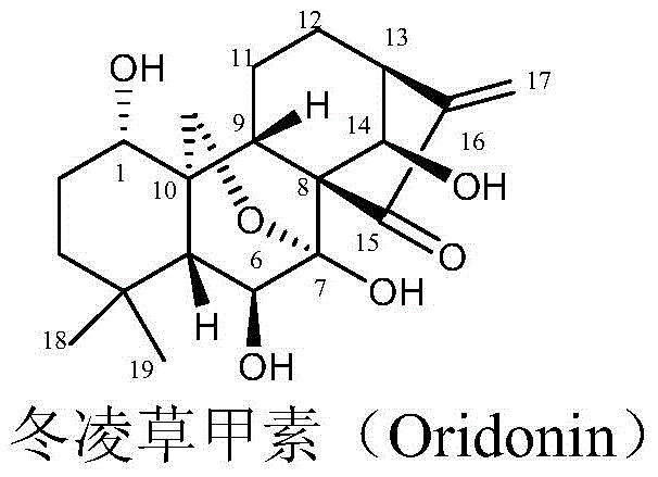 L-alanine-(14-oridonin A) ester trifluoroacetate and its preparation method and use