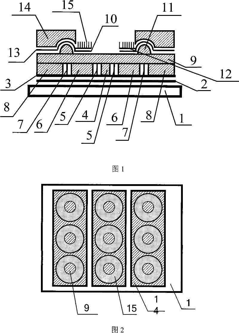 Flat-panel display device with waxial barrel-type gate-modulated cathode structure and its preparing process