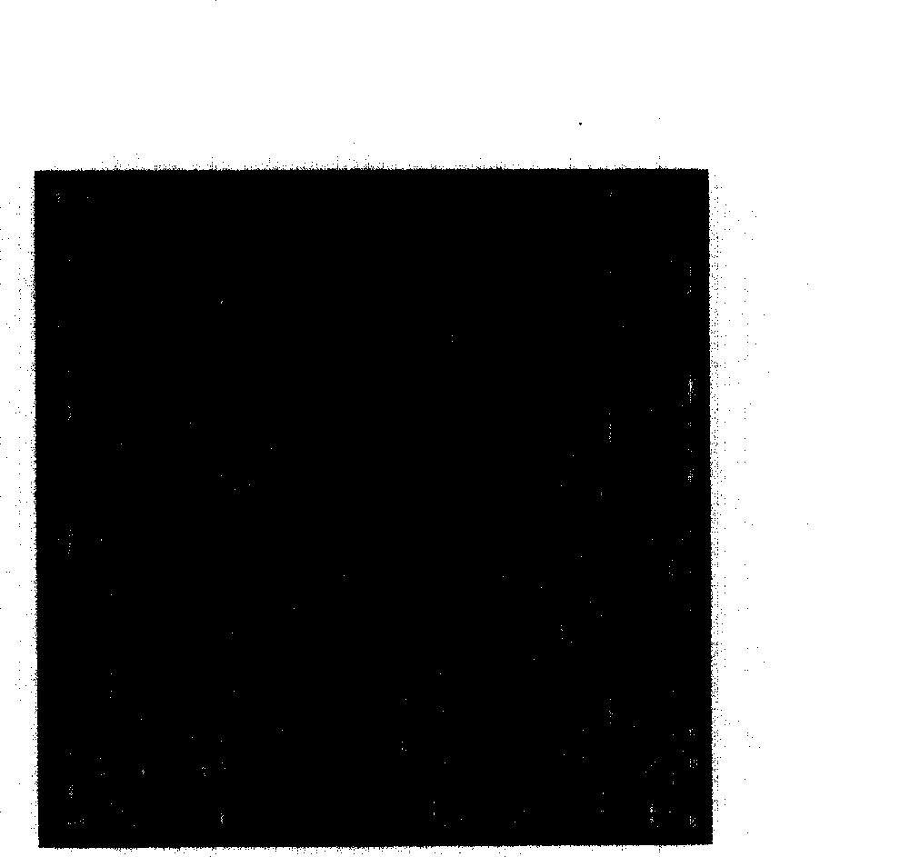 Method for producing absolute zero-position alignment marks by semi-reflective zero-position grating