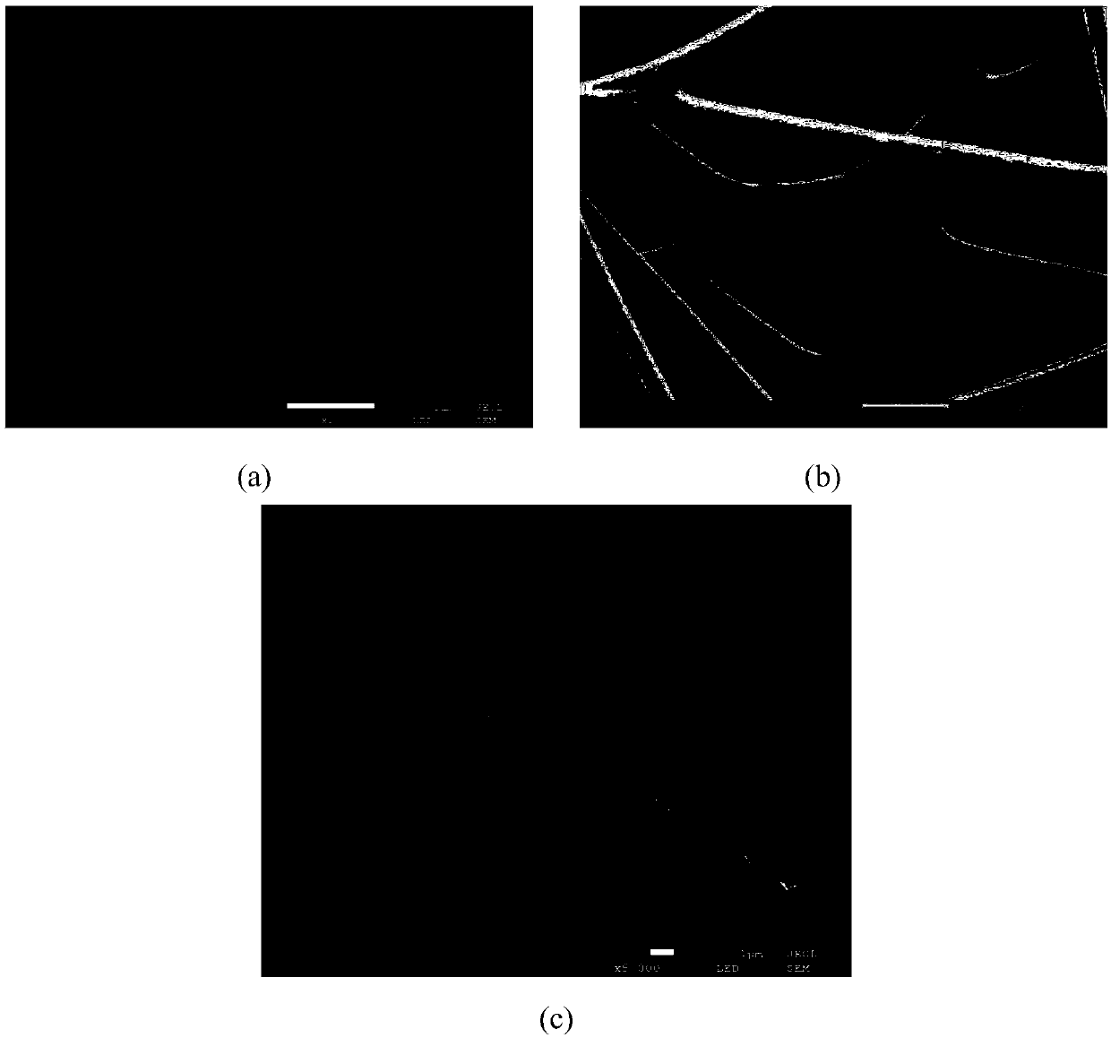 Preparation method of in-situ polymerized ninhydrin/polyvinyl alcohol nano-fiber composite film and fingerprint detecting method