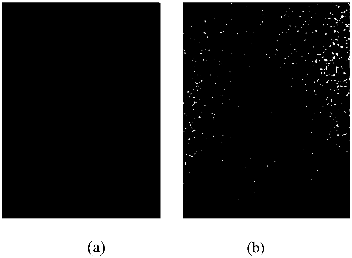 Preparation method of in-situ polymerized ninhydrin/polyvinyl alcohol nano-fiber composite film and fingerprint detecting method