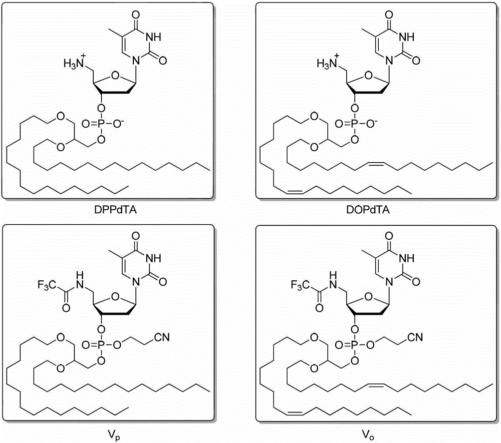 5'-amino-2', 5'-dideoxynucleotide phospholipid molecule and its preparation method and application